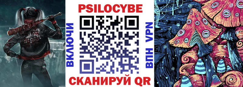 Псилоцибиновые грибы мухоморы  Купить закладки  Новошахтинск 